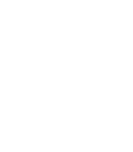 Bolnore Financial Planning and Wealth Management_white